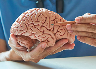 Neurología General
